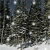 Animated Snow Scene(6K)