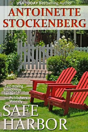 Safe HarborCover(30K)